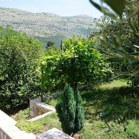 Toholj Apartment Trebinje